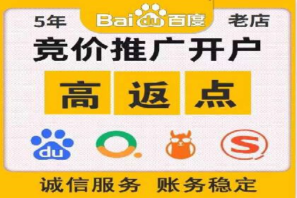 百度广告投放技巧与案例分享